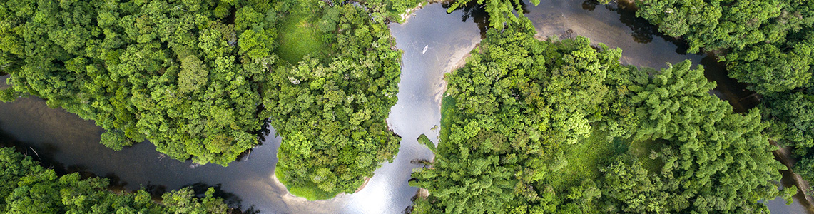 The Amazon river The Amazon river